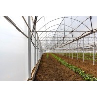 24 Ay Katkılı Sera Örtüsü