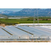 36 Ay Katkılı Sera Örtüsü